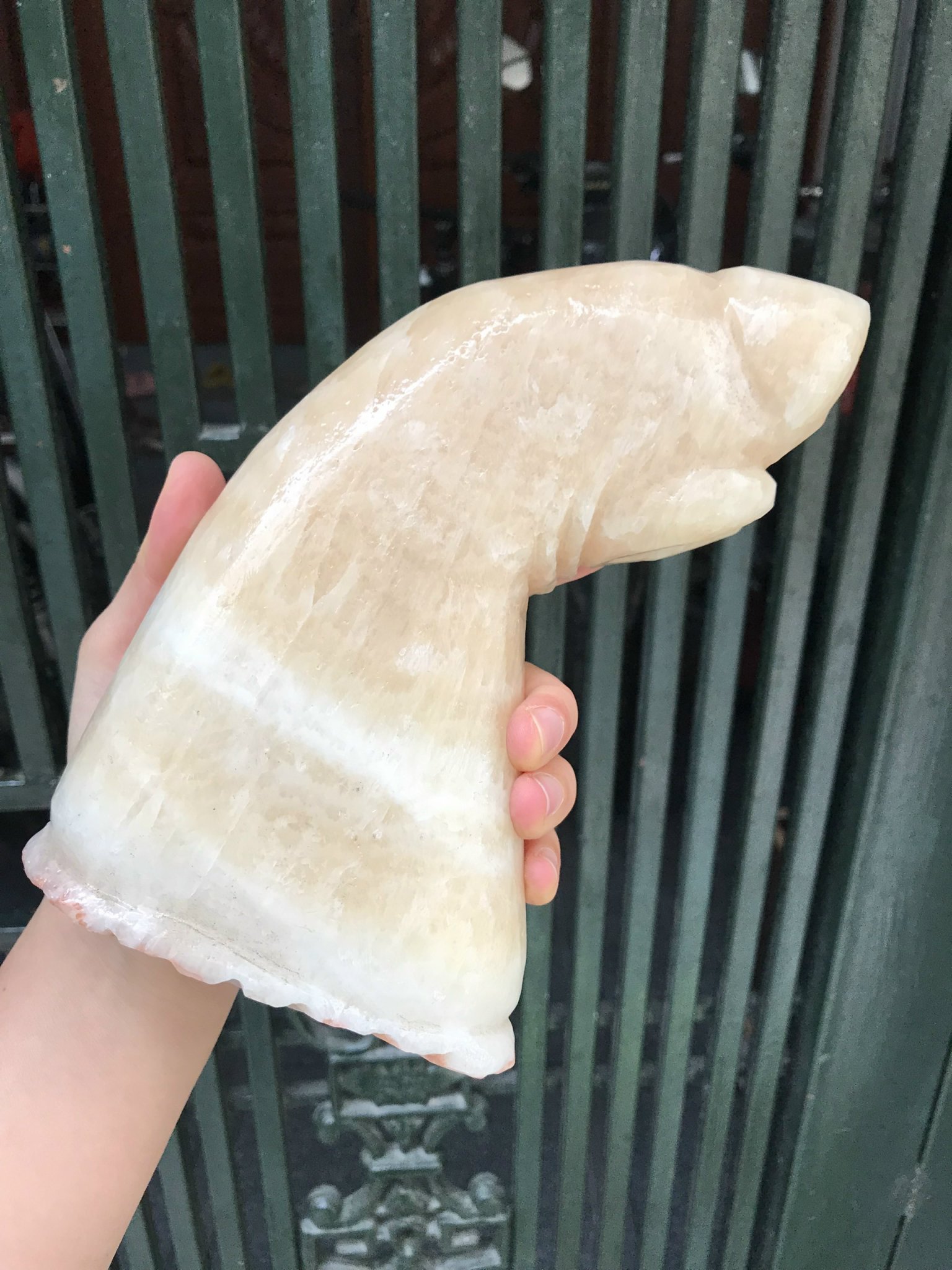 GIÒ HEO ĐÁ PHÚ QUÝ